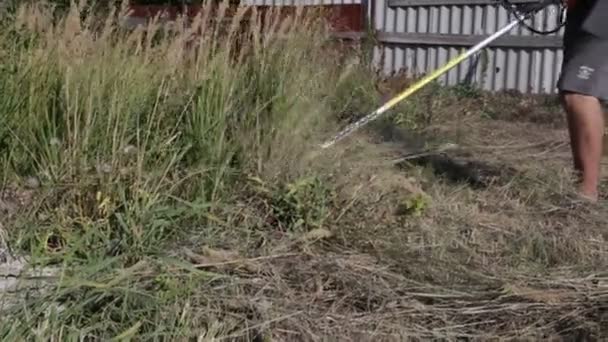 Homem Corta Relva Com Cortador Relva Aparador Para Cortar Grama — Vídeo de Stock