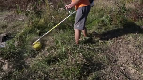 남자가 기계로 잔디를 깍는다 자르기위한 트리머 — 비디오