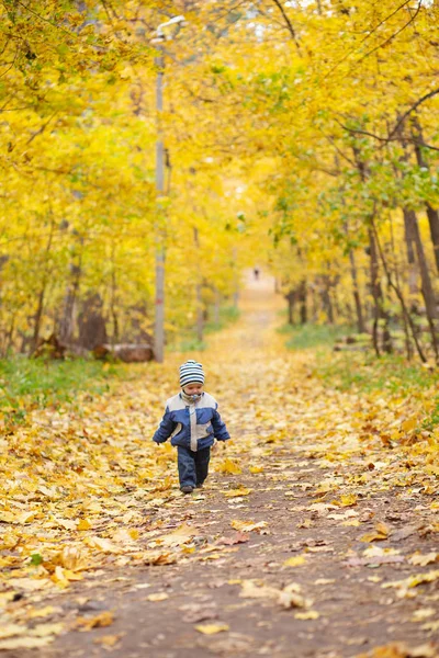 Маленький Хлопчик Гуляє Осінньому Лісі — стокове фото