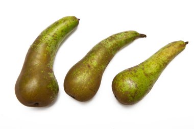 armutlar beyaz arkaplanda izole