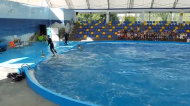 Odessa, Ukrayna - Ağustos 2017: Yunuslar Dolphinarium oynamak. Dolphinarium gösterimi. Yunus gösterisi.