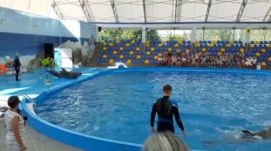 Odessa, Ukrayna - Ağustos 2017: Yunuslar Dolphinarium oynamak. Dolphinarium gösterimi. Yunus gösterisi.