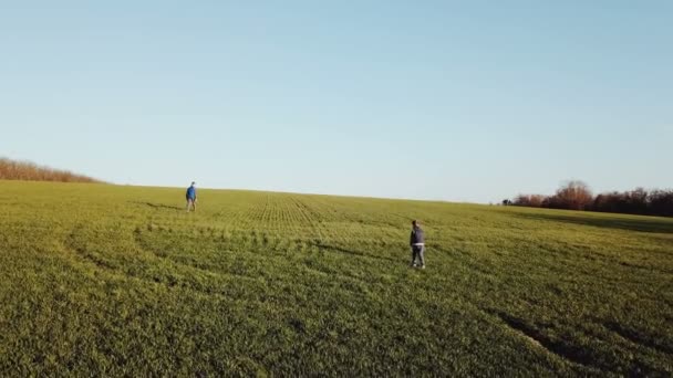 疲れて子供 緑の芝生フィールドに沿って歩いてください 航空写真ビュー — ストック動画