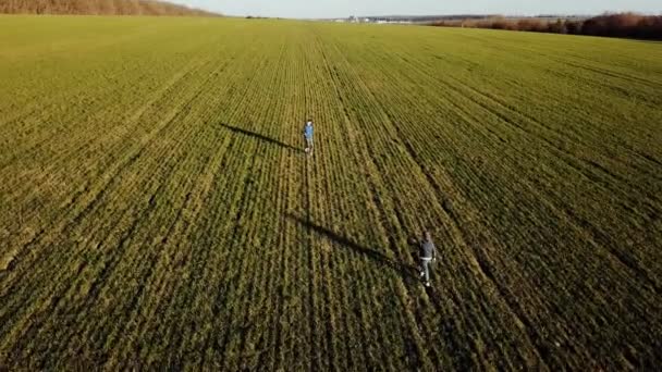 Aerial View Young Brothers Running Green Grassy Field Smiles Faces — Stock Video