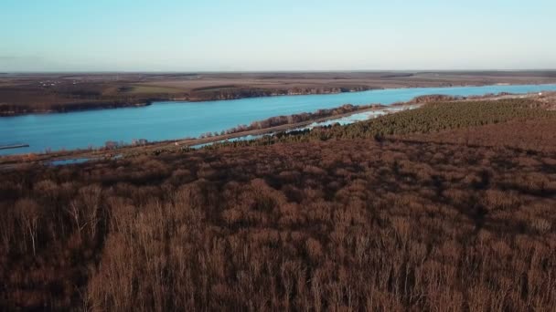 Luftaufnahme Fliegen Über Die Schönen Waldbäume Bäume Ohne Blätter — Stockvideo