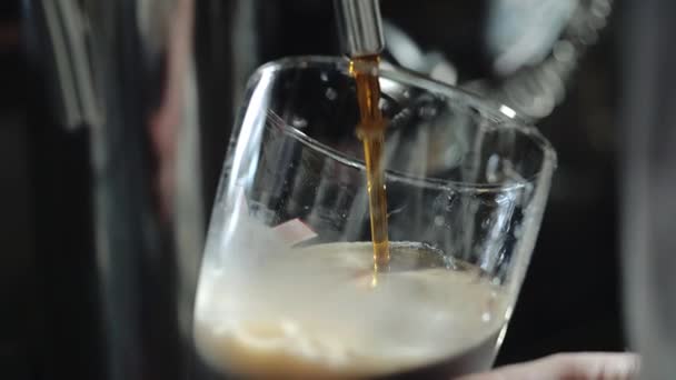 Barista Versa Una Birra Scura Nel Bicchiere Primo Piano — Video Stock