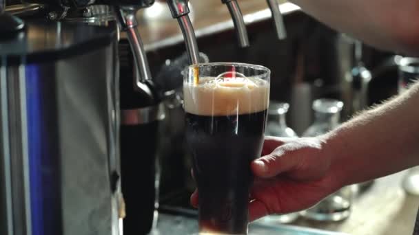 Bartender Derramando Copo Cerveja Stout — Vídeo de Stock