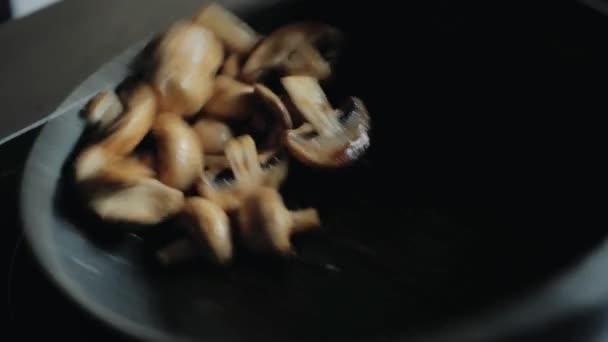 Σεφ Αναστρέφει Μανιτάρια Ένα Τηγάνι Επαγγελματικά Μαγειρέματος — Αρχείο Βίντεο