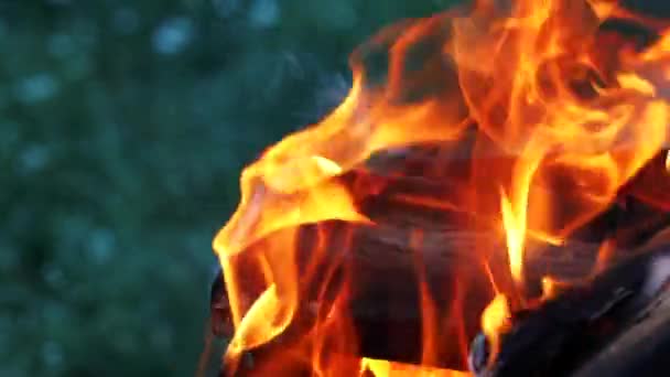 Bright Red Flames Burning Branches Closeup Bonfire Slow Motion — Stock Video