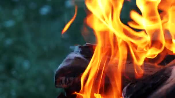 Wooden Planks Fire Bonfire Close — Stock Video