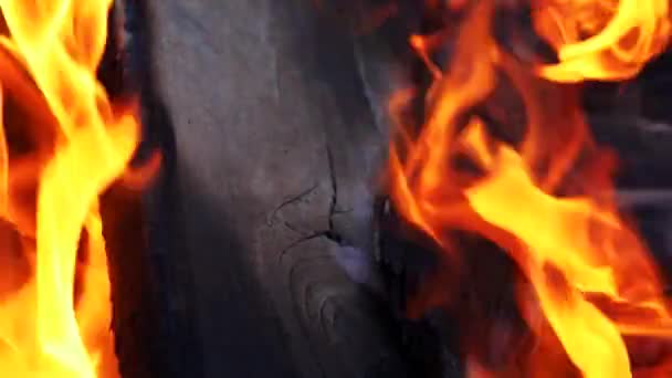 Closeup Flames Burning Black Background Slow Motion Flames Fire Camp — Stock Video