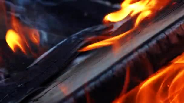 Burning Wood Burning Fire Home Fireplace Slow Motion — Stock Video