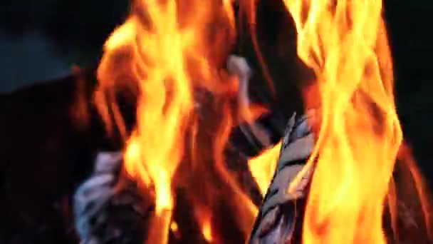 Spálené Dřevo Táborák Makro Video Teplovzdušný Krb Jsou Plné Dřeva — Stock video