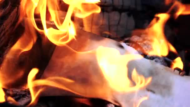 Das Lagerfeuer Der Zweige Brennt Nachts Wald Brennendes Papier Orangefarbener — Stockvideo