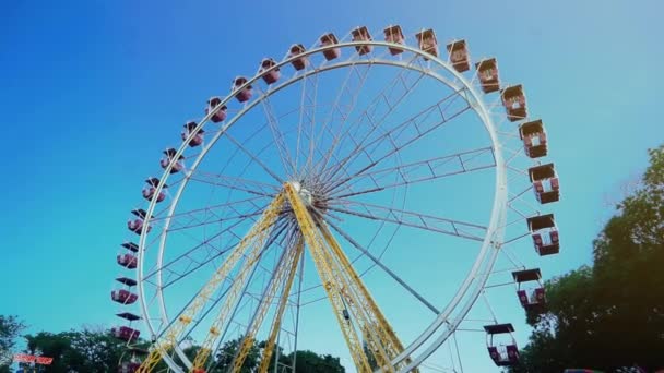 Ferris Wheel Located Fun Park Zone — Stock Video