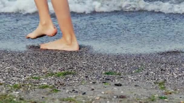 女性の足をクローズ アップ 夕暮れビーチ裸足歩行の女性 スローモーション — ストック動画