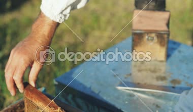 Çerçeveler, bir arı kovanı. El arıcı, arı ve arı kovanı arı kovanı üzerinde çalışma.