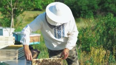 Arı yetiştiricisi arılarla ve arı kovanlarıyla çalışıyor. Arı kovanının çerçeveleri.