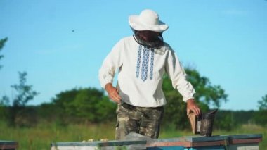 Arı kovanında çalışan genç arıcı. Arıcılık konsepti. Arıcı bal topluyor.