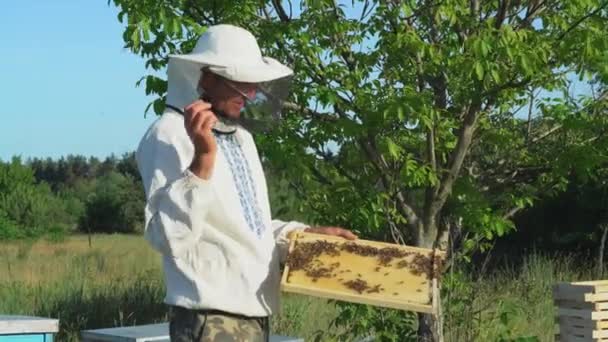 Μελισσοκόμος Στην Προστατευτικός Ρουχισμός Εργασίας Επιθεώρηση Κυψελωτό Πλαίσιο Στο Μελισσοκομείο — Αρχείο Βίντεο