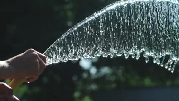 Stroom Van Water Spuiten Van Tuinslang Close Het Groene Gras — Stockvideo