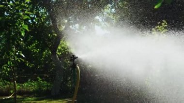 Sulama Ekipmanları. Otomatik tarım yağmurlama sistemi bitki ve çim sulama. Ağır çekim.