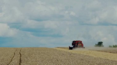 Güneşli yaz gününde çalışma hasat birleştirin. Hasat zamanı. Tarım sektörü