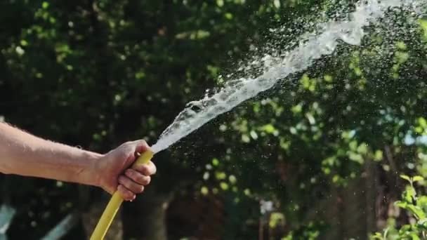 Corriente Pulverización Agua Manguera Jardín Mano Masculina Cerca Movimiento Lento — Vídeos de Stock