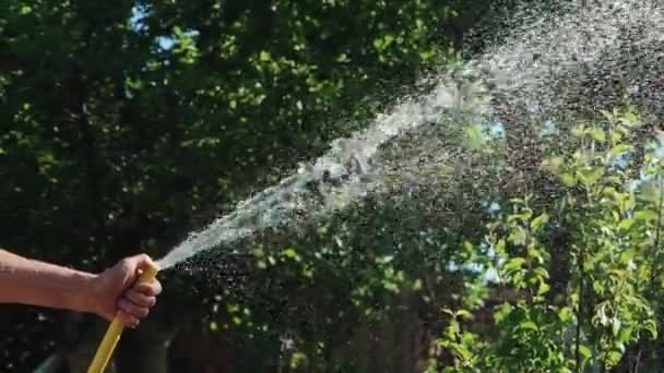 Pure Stromend Water Stroomt Uit Rubberen Slang Als Het Gazon — Stockvideo