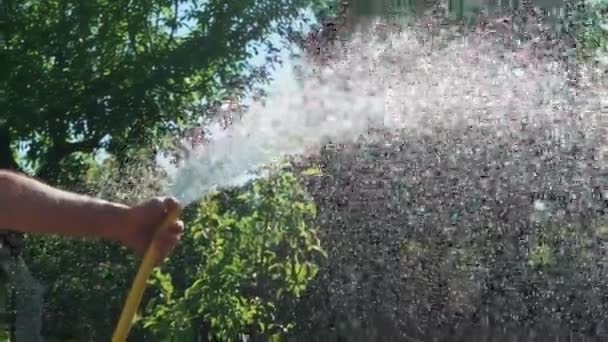 Bahçe Hortumu Yakın Püskürtme Akışı Yeşil Çim Sulama Ağır Çekim — Stok video
