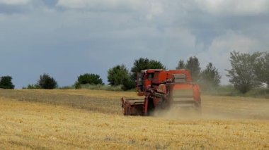 Buğday hasat. Güneşli yaz gününde çalışma hasat birleştirmek