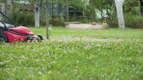 Chico Corriendo Con Una Cortadora Césped Jardín Primer Plano — Vídeo de stock