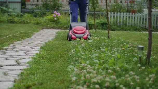 女人在自家院子里用带绳的电动割草机割草 — 图库视频影像