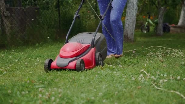 Der Elektrische Rasenmäher Mäht Das Gras Frau Mäht Rasen — Stockvideo