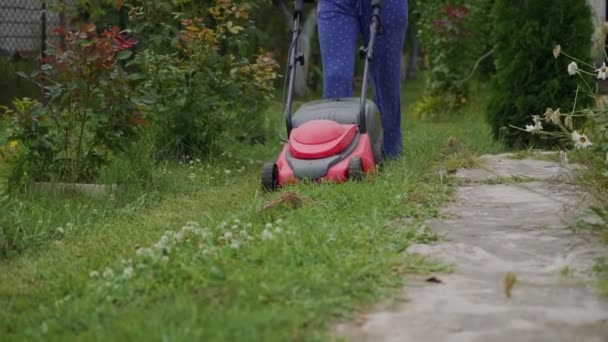 Mujer Corriendo Con Una Cortadora Césped Jardín Primer Plano — Vídeos de Stock