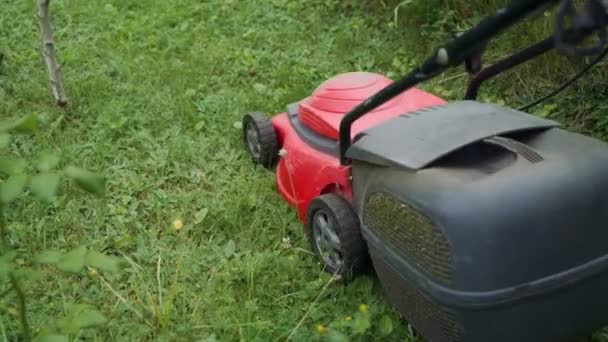 国の家の近くの芝生での芝刈機を刈る若い女性の足 — ストック動画