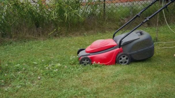 電気芝刈り機は芝生を刈る 国の家の近くの芝生での芝刈機を刈る若い女性の足 — ストック動画