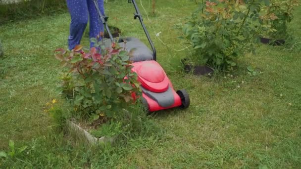 年轻女子正在后院修剪草坪割草机 电动除草机割草 — 图库视频影像