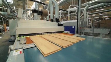 Döşeme imalat, işleme parke. Modern endüstriyel fabrika