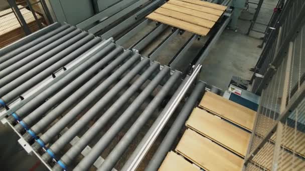 床板工業の工場で生産 寄木細工掲示板の製造 近代的な技術 — ストック動画