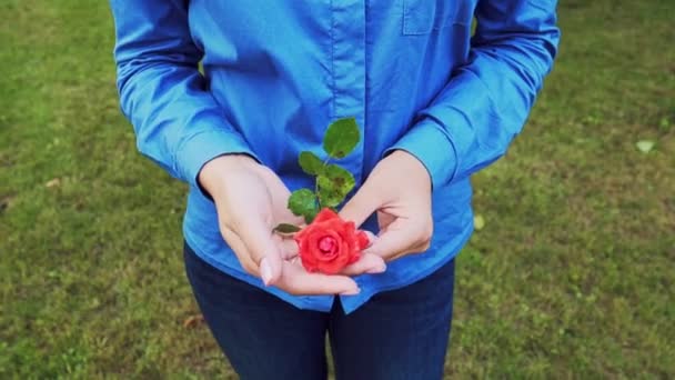 Nahaufnahme Einer Frau Mit Schöner Maniküre Die Eine Rote Rose — Stockvideo