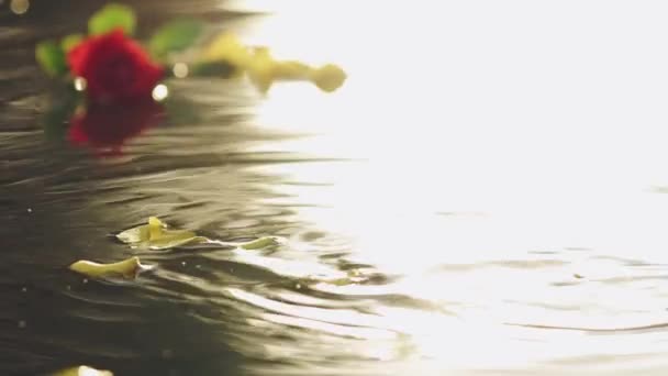 Die Weibliche Hand Gleitet Auf Der Wasseroberfläche Mit Rosenblättern Zeitlupe — Stockvideo