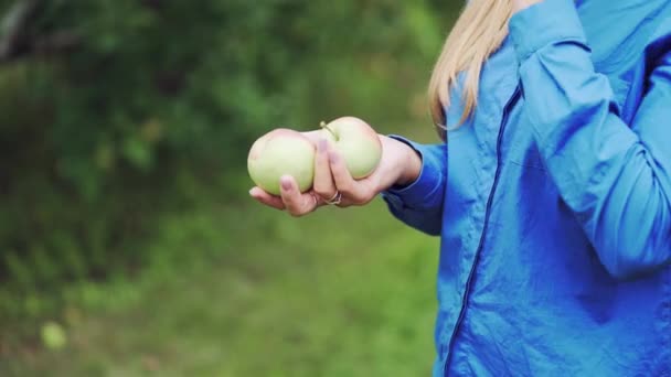 Verse Appels Handen Van Een Vrouw Achtergrond Van Natuur Close — Stockvideo