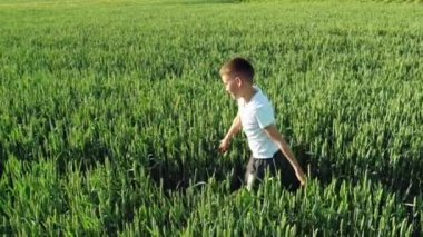 Küçük çocuk günbatımında buğday alanı yürüyor.