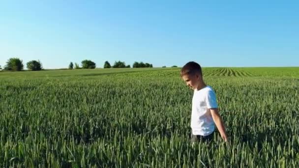 Хлопчик Біжить Полі Повільний Рух — стокове відео