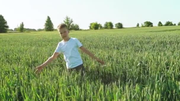Chlapec Chůze Pšeničné Pole — Stock video