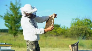 Arı kovanında çalışan genç arıcı. Arıcılık konsepti. Arıcı bal topluyor.