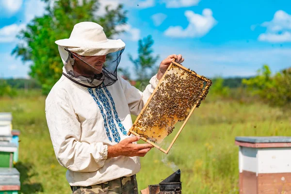 Hombre Con Traje Protector Sombrero Sostiene Marco Con Panales Abejas —  Fotos de Stock