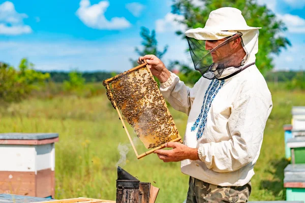 Biodlare Särskilda Kostym Ser Ram Med Honeycombs För Bin Trädgården — Stockfoto