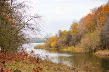 nehir sonbaharda ormanın ortasında akar. Etrafında güzel sahne